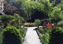 The most beautiful gardens in Manhattan