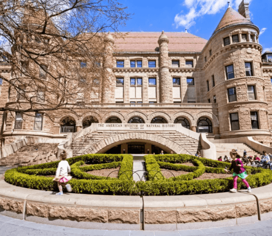Американський музей природознавства, що став відомим у всьому світі