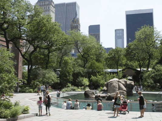 Зоопарк Центрального парка: о появлении и деятельности