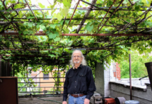 Діяльність єдиного виноградника у Мангеттені: сімейна виноробня “Chateau Latif”