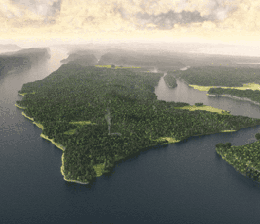 What Manhattan Looked Like Before Civilization: The “Mannahatta” Project