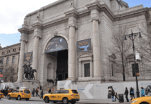 The American Museum of Natural History: A Look Back at Its Origins