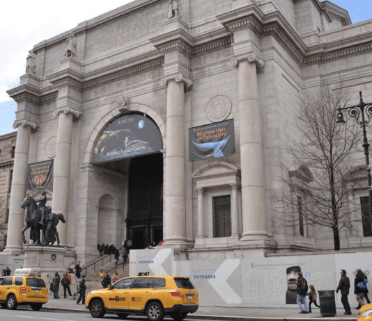 The American Museum of Natural History: A Look Back at Its Origins