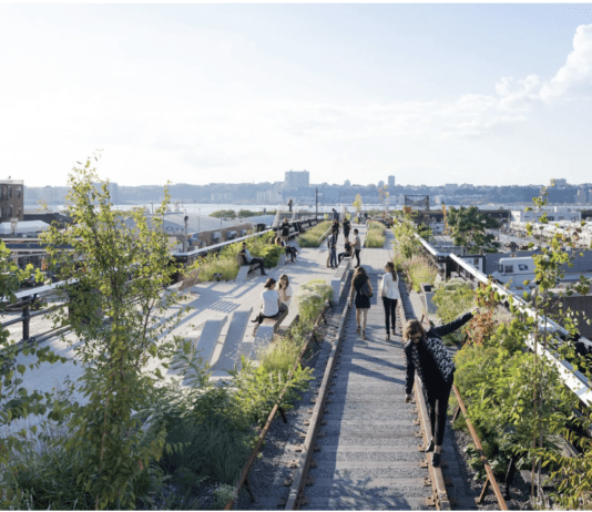 “Хай-Лайн” – історія оригінального лінійного парку у Мангеттені