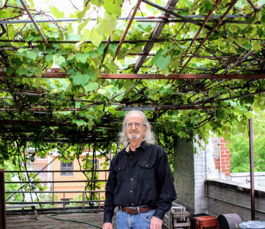 Activities of Manhattan’s Sole Vineyard: The Family Winery “Chateau Latif”
