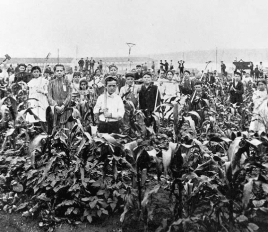 Manhattan Farm Gardens: Origins, Activities, and Development