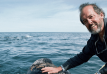 Roger Payne: The Ecologist Who Discovered Whale Songs