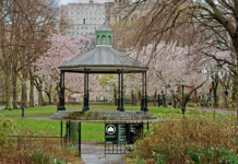 Manhattan’s Best Parks for Relaxation: A Guide