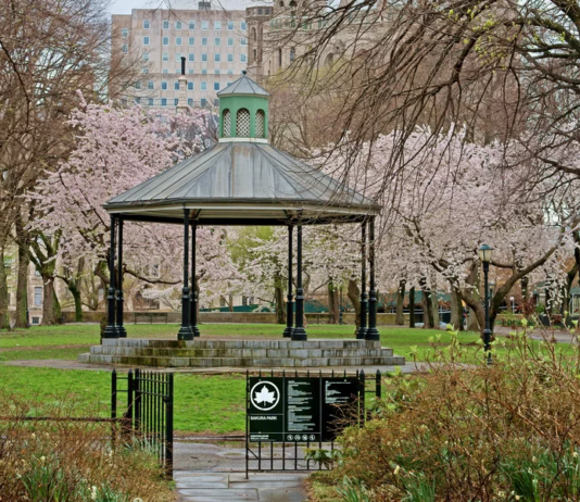 Manhattan’s Best Parks for Relaxation: A Guide