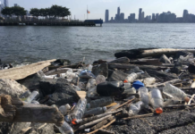 Hudson River’s Water Quality Challenges and Their Impact on Manhattan