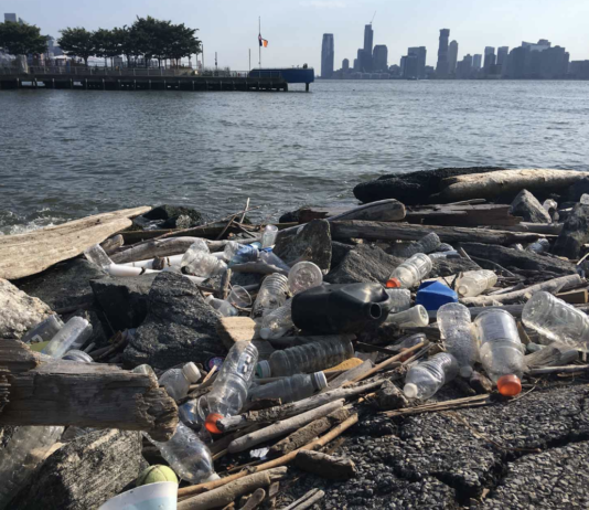 Проблемы качества воды в реке Гудзон и их влияние на Манхэттен