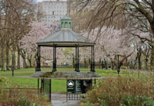 Чудові парки для відпочинку у Мангеттені: список