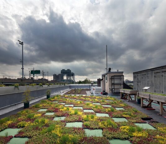 Manhattan’s Climate Change Battle