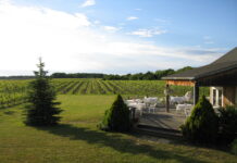 A Rich History of Winemaking in New York