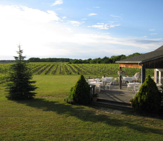 A Rich History of Winemaking in New York