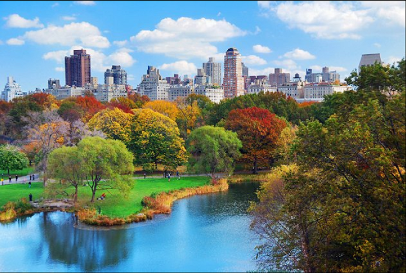 Central Park